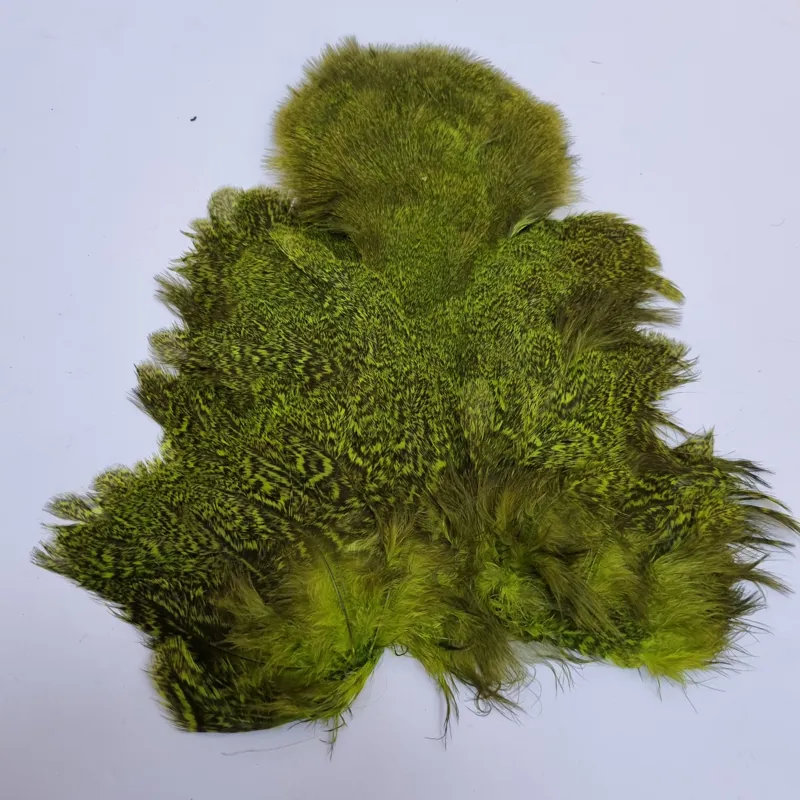 Whiting Coq de Leon Hen Soft Hackle with Chickabou in Speckled Fl.Green Chartreuse-6